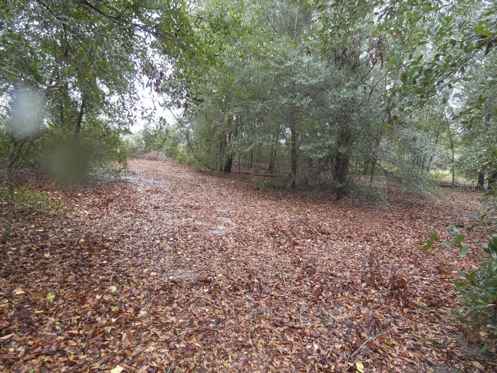 16213 CLARENCE LEE RD, GROVELAND, FL, 34736