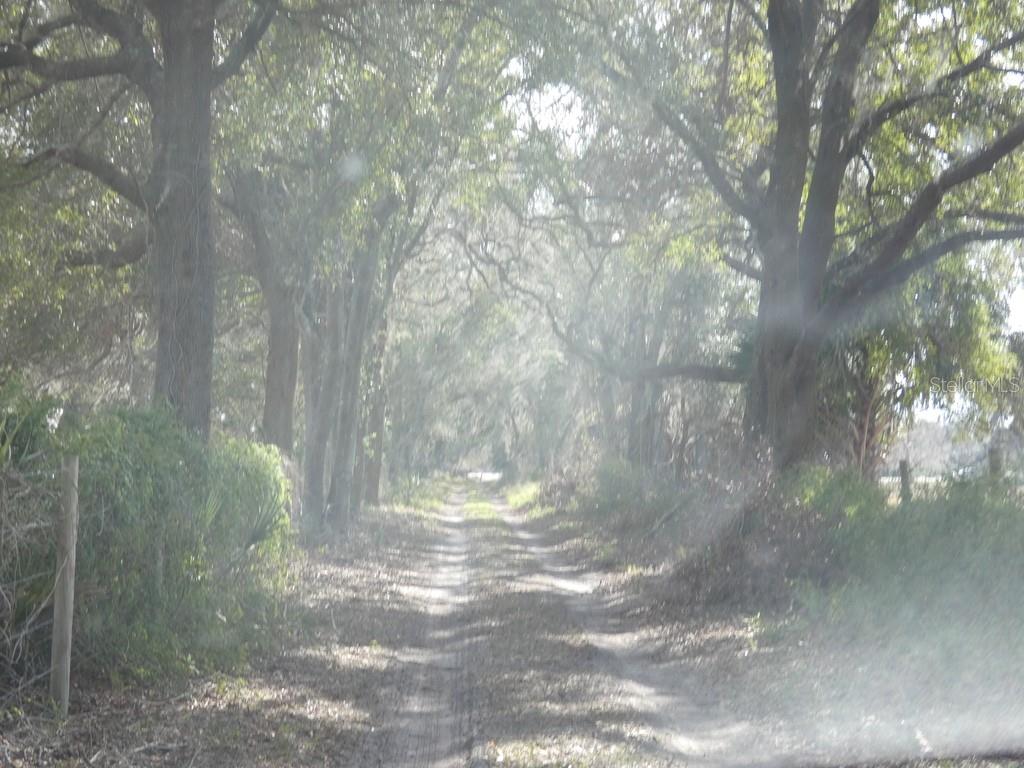 16213 CLARENCE LEE RD, GROVELAND, FL, 34736