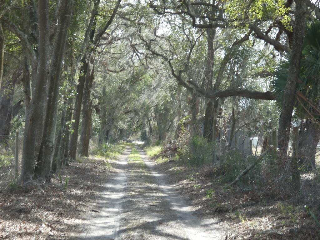 16213 CLARENCE LEE RD, GROVELAND, FL, 34736