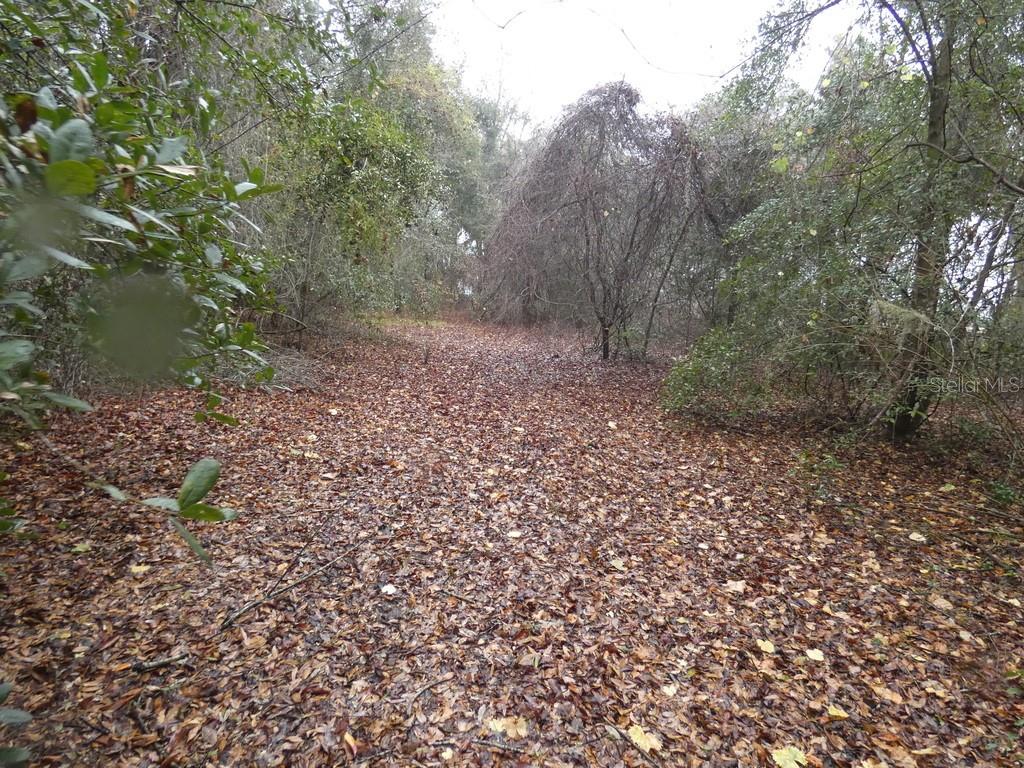 16213 CLARENCE LEE RD, GROVELAND, FL, 34736