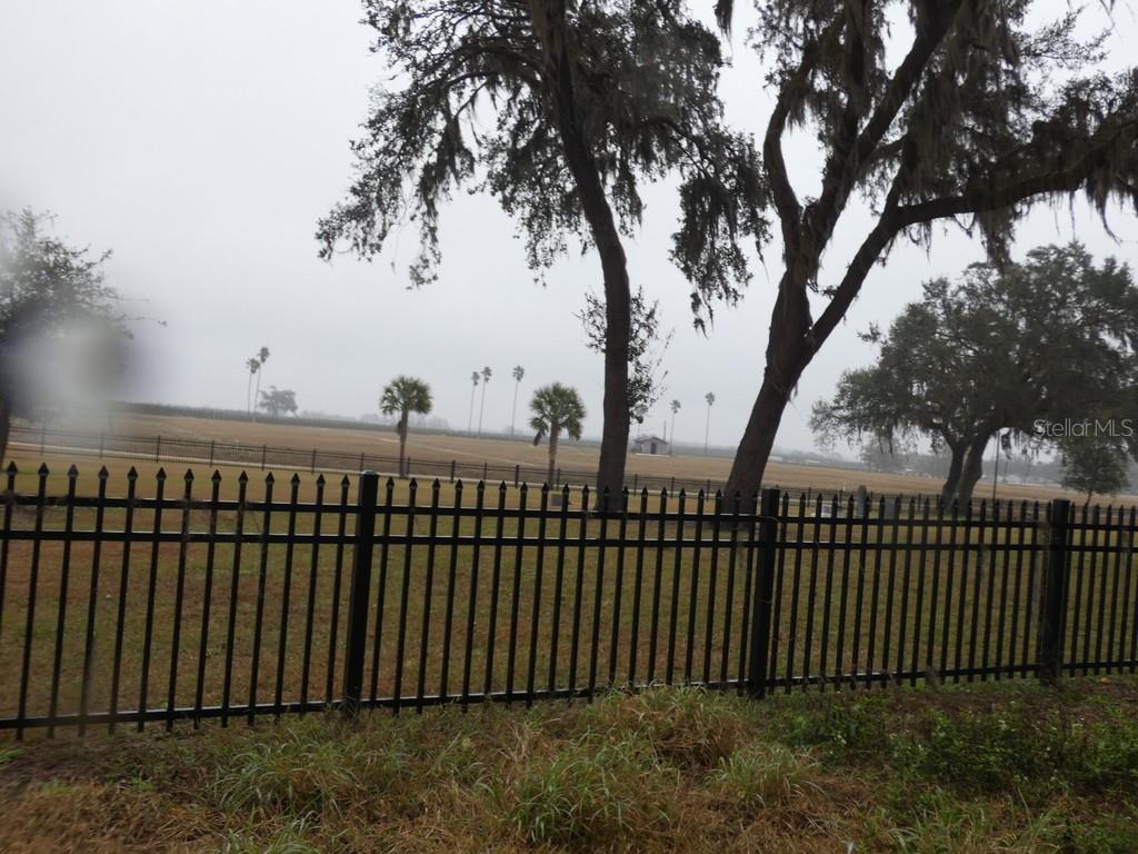 16213 CLARENCE LEE RD, GROVELAND, FL, 34736