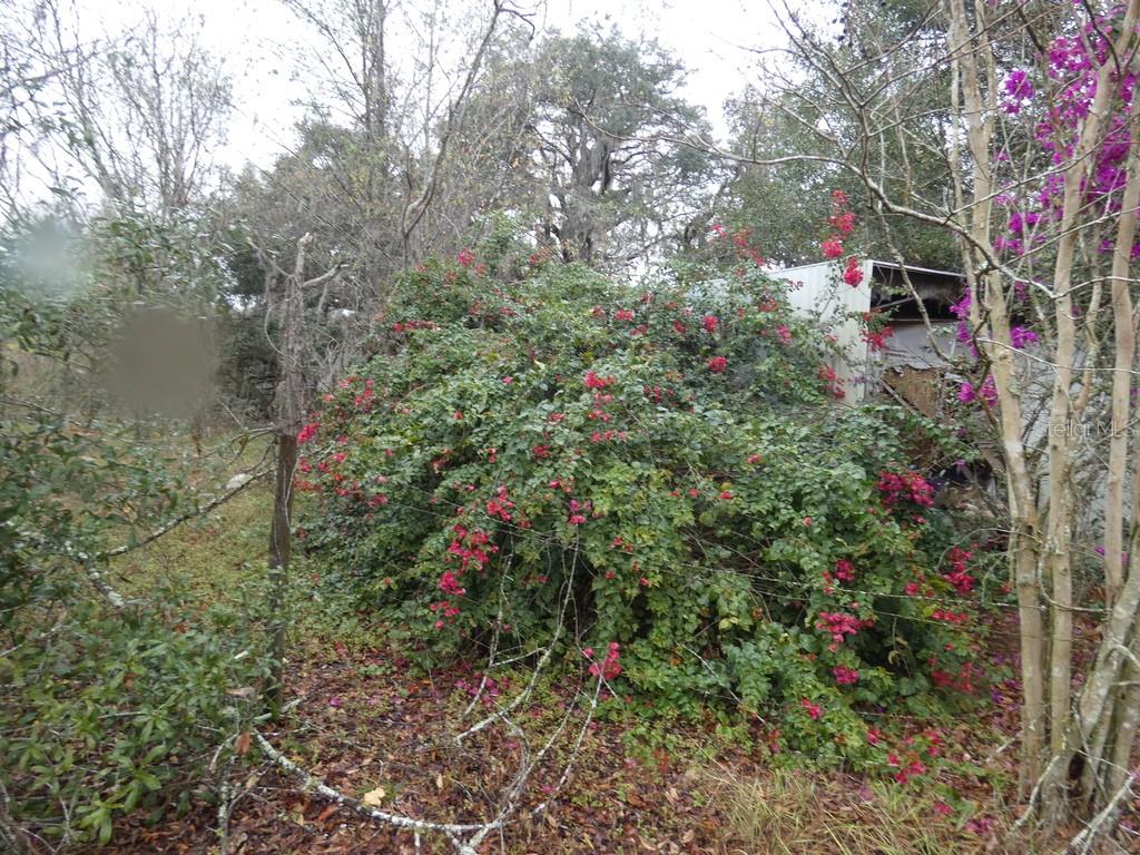 16213 CLARENCE LEE RD, GROVELAND, FL, 34736