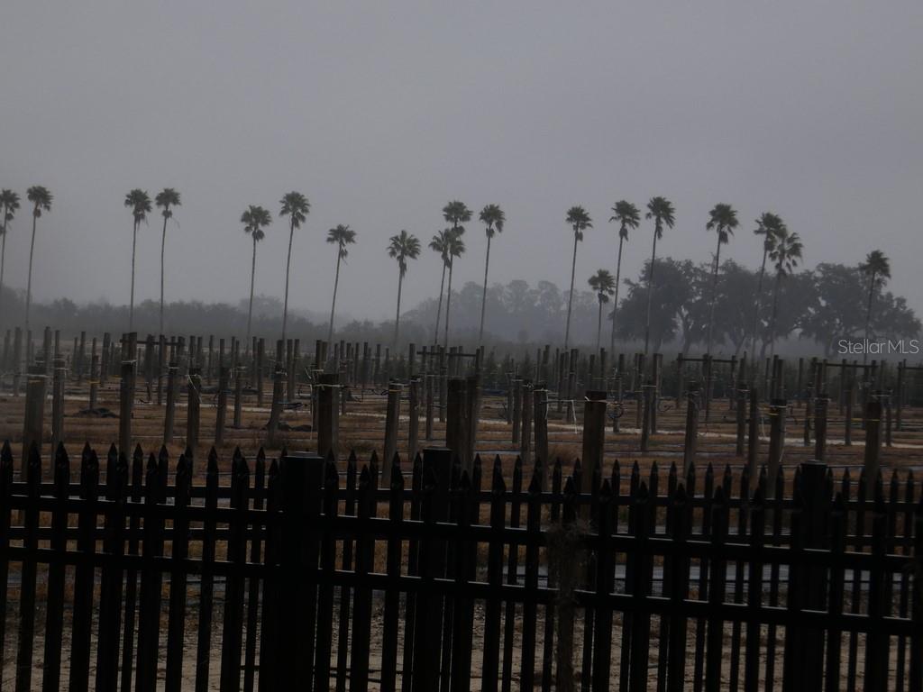 16213 CLARENCE LEE RD, GROVELAND, FL, 34736