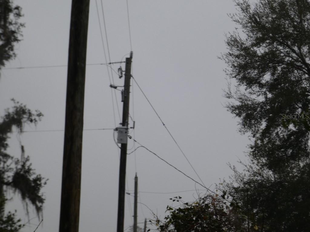 16213 CLARENCE LEE RD, GROVELAND, FL, 34736