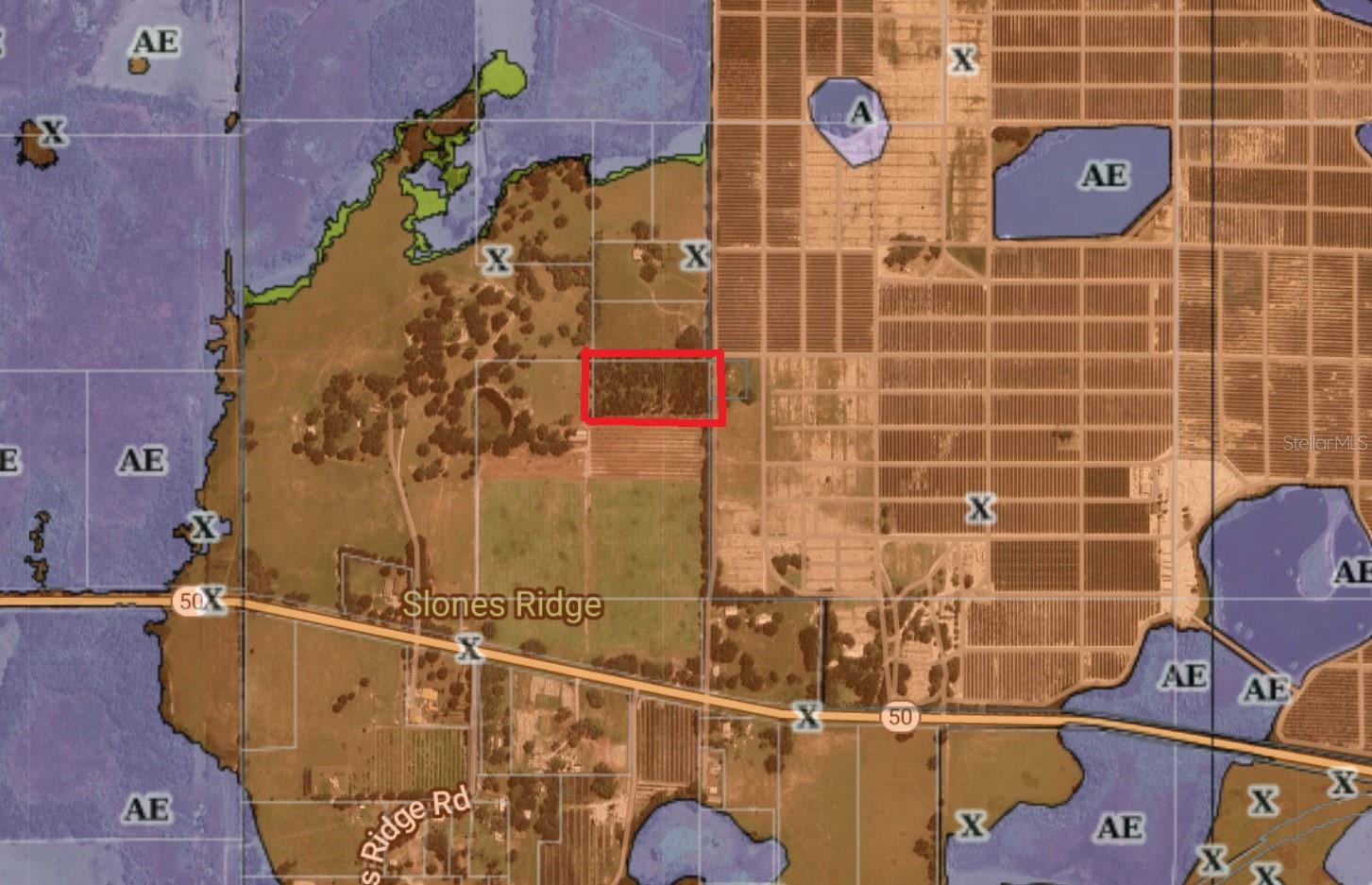 16213 CLARENCE LEE RD, GROVELAND, FL, 34736