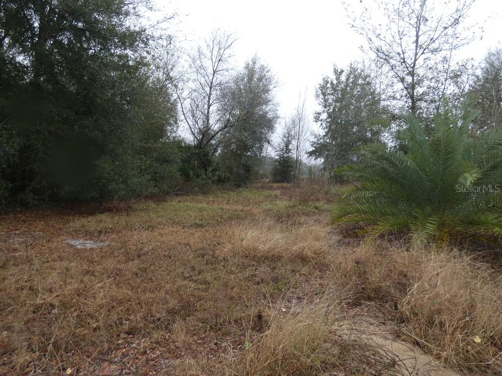 16213 CLARENCE LEE RD, GROVELAND, FL, 34736