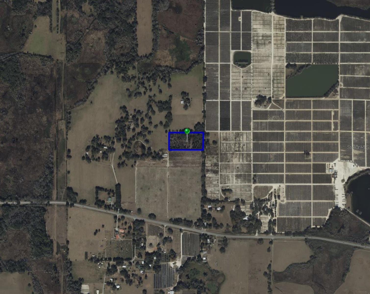 16213 CLARENCE LEE RD, GROVELAND, FL, 34736