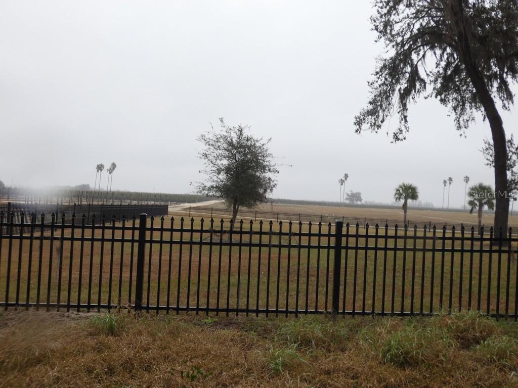 16213 CLARENCE LEE RD, GROVELAND, FL, 34736