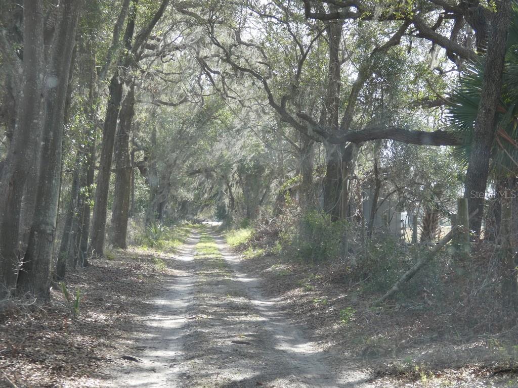 16213 CLARENCE LEE RD, GROVELAND, FL, 34736