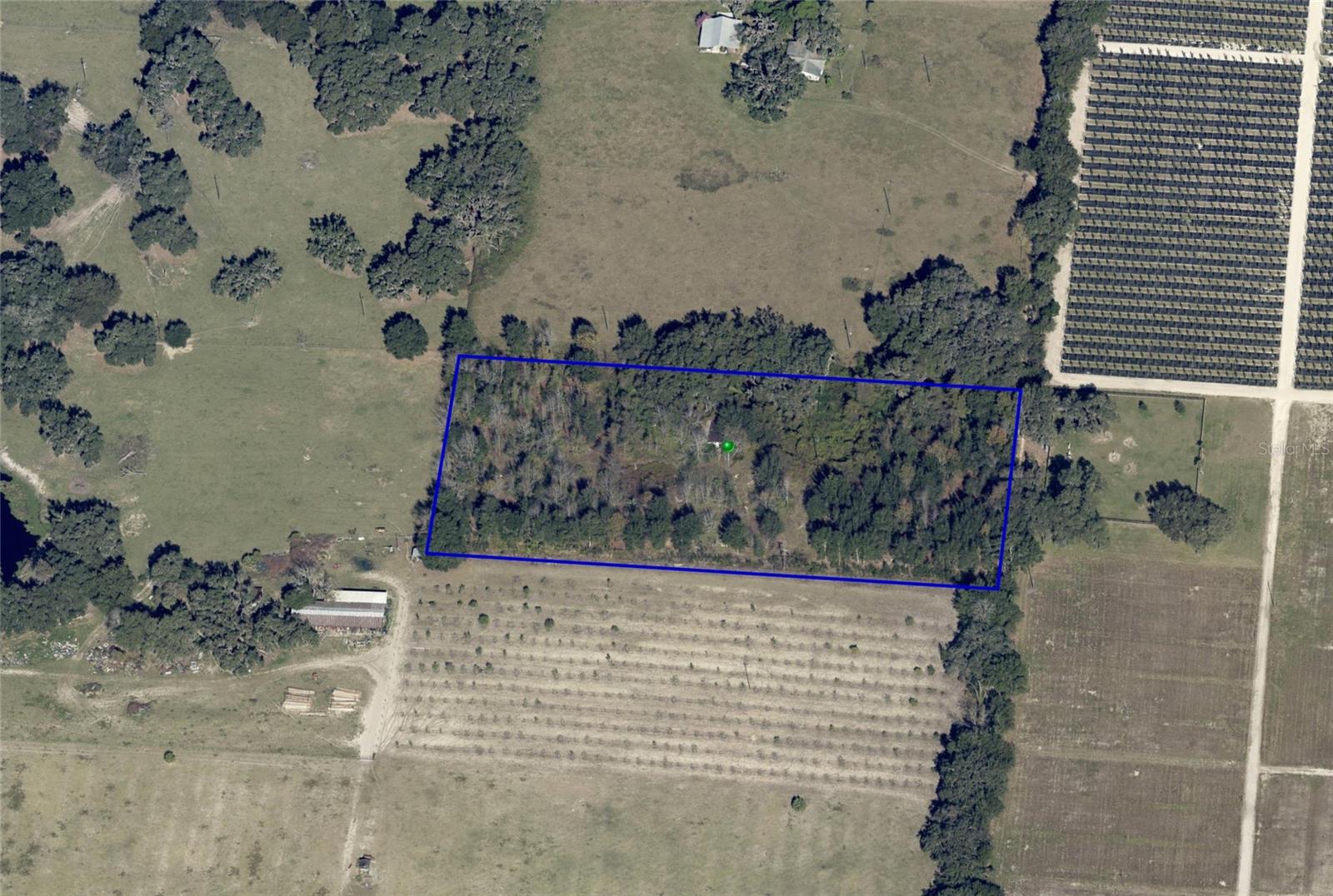 16213 CLARENCE LEE RD, GROVELAND, FL, 34736