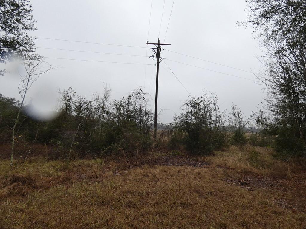 16213 CLARENCE LEE RD, GROVELAND, FL, 34736