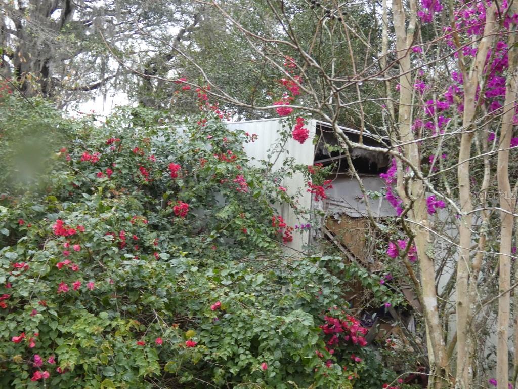 16213 CLARENCE LEE RD, GROVELAND, FL, 34736