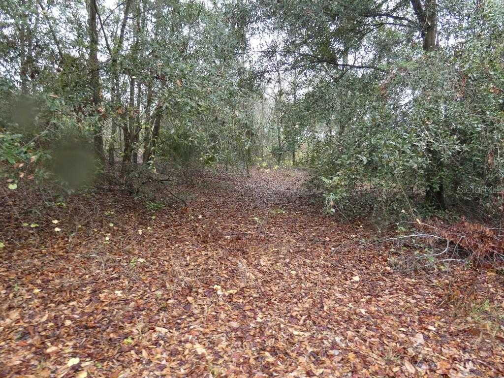 16213 CLARENCE LEE RD, GROVELAND, FL, 34736