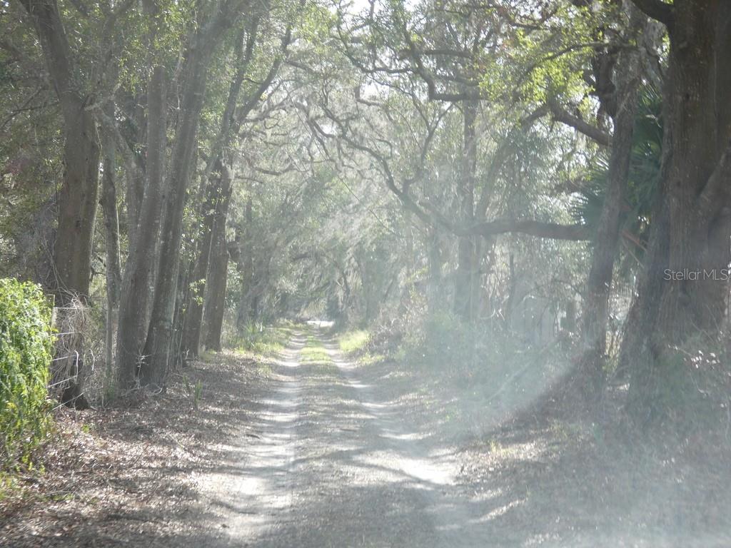 16213 CLARENCE LEE RD, GROVELAND, FL, 34736