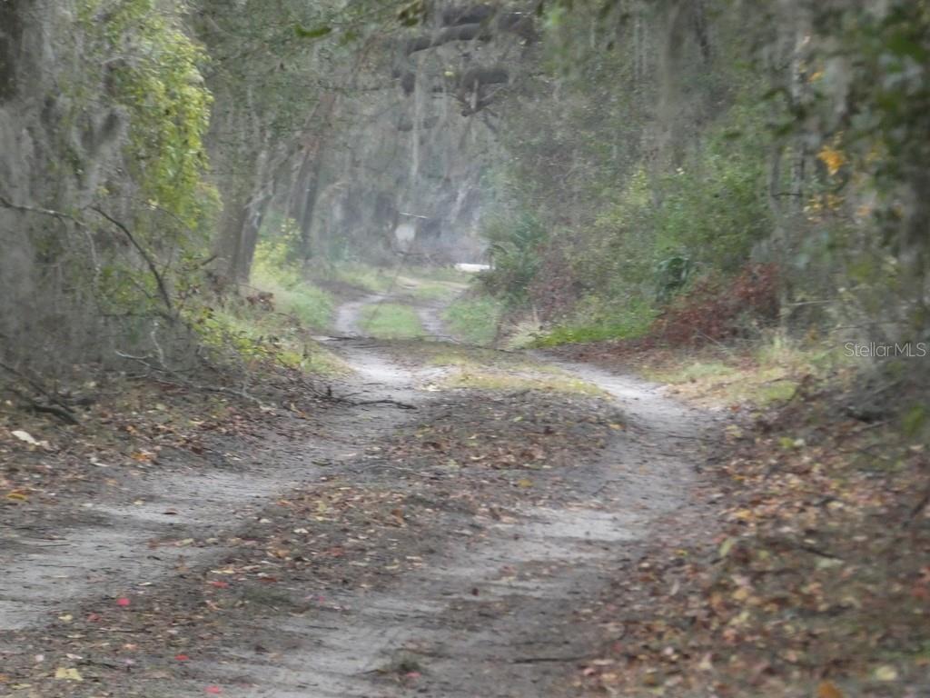 16213 CLARENCE LEE RD, GROVELAND, FL, 34736