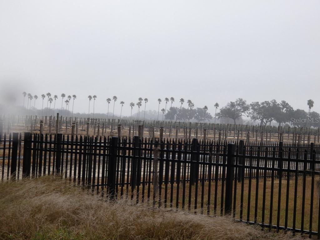 16213 CLARENCE LEE RD, GROVELAND, FL, 34736