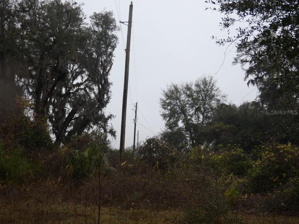 16213 CLARENCE LEE RD, GROVELAND, FL, 34736