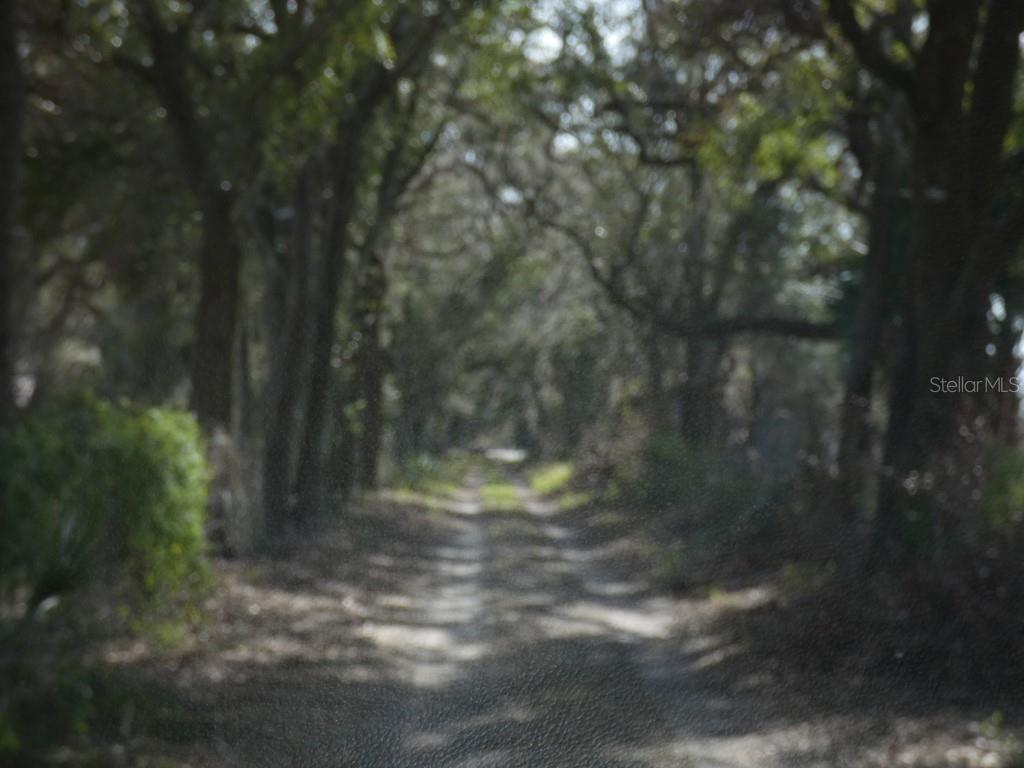 16213 CLARENCE LEE RD, GROVELAND, FL, 34736