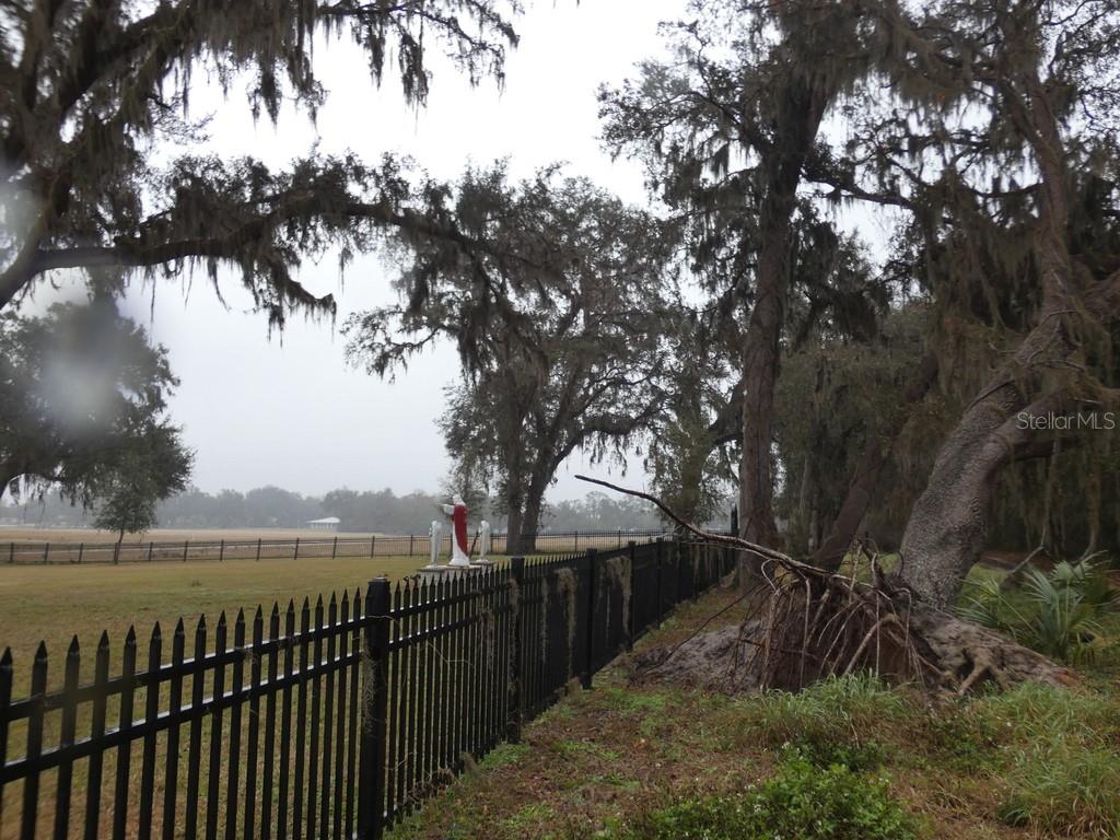 16213 CLARENCE LEE RD, GROVELAND, FL, 34736