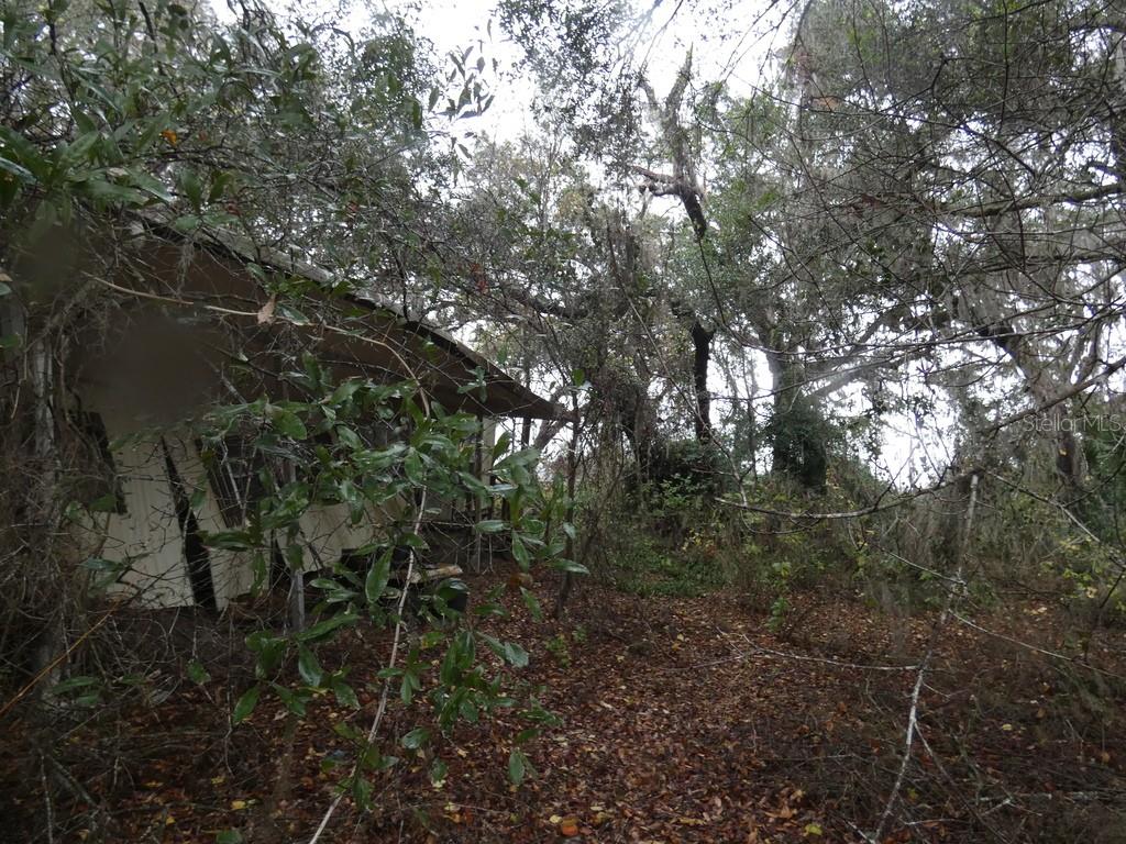 16213 CLARENCE LEE RD, GROVELAND, FL, 34736