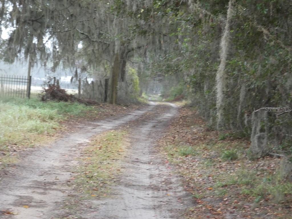 16213 CLARENCE LEE RD, GROVELAND, FL, 34736