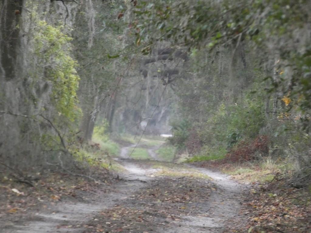 16213 CLARENCE LEE RD, GROVELAND, FL, 34736