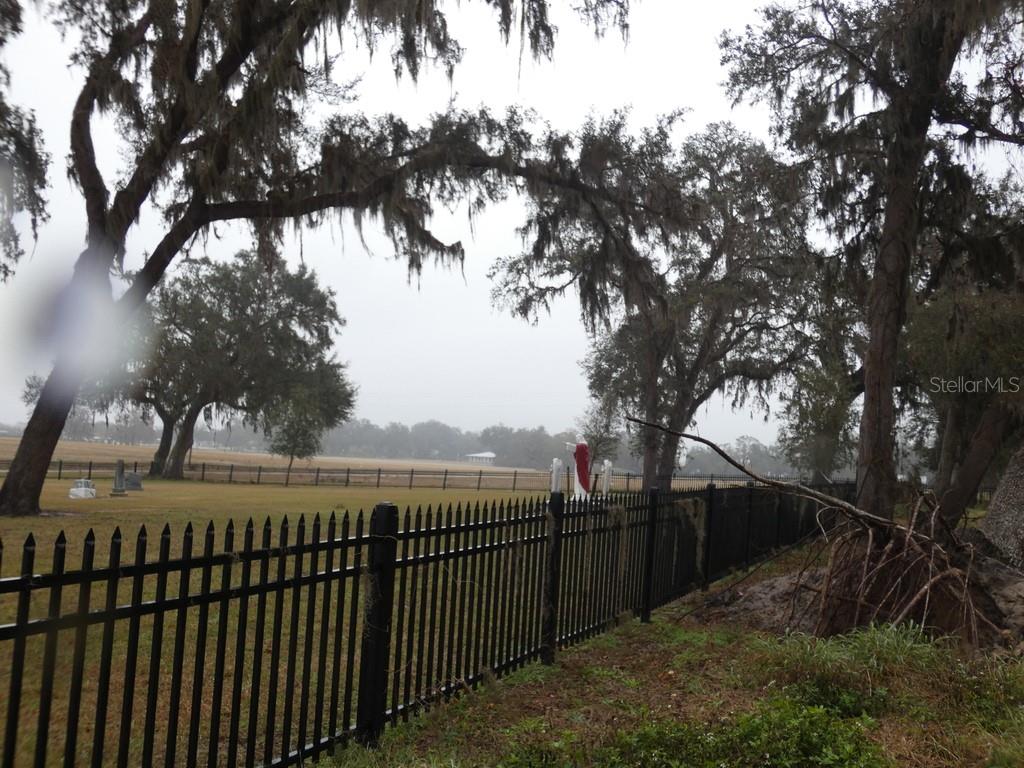 16213 CLARENCE LEE RD, GROVELAND, FL, 34736