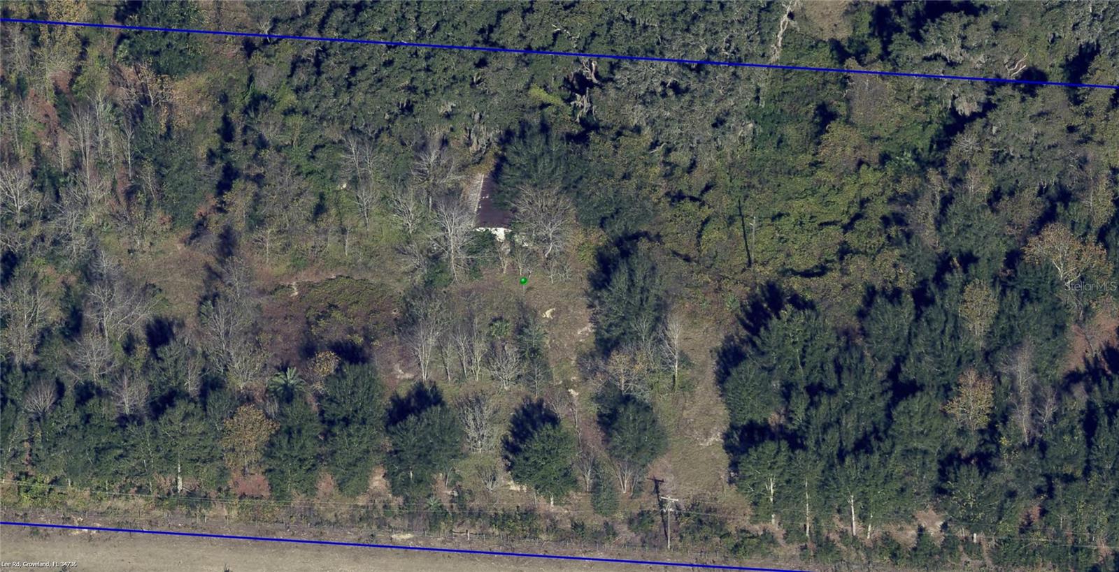 16213 CLARENCE LEE RD, GROVELAND, FL, 34736