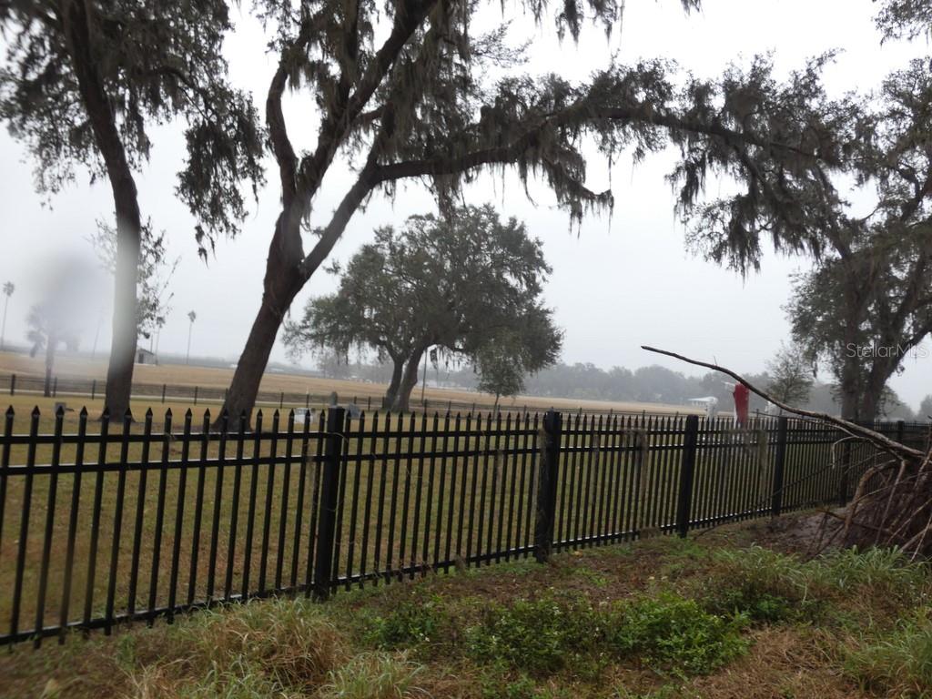 16213 CLARENCE LEE RD, GROVELAND, FL, 34736