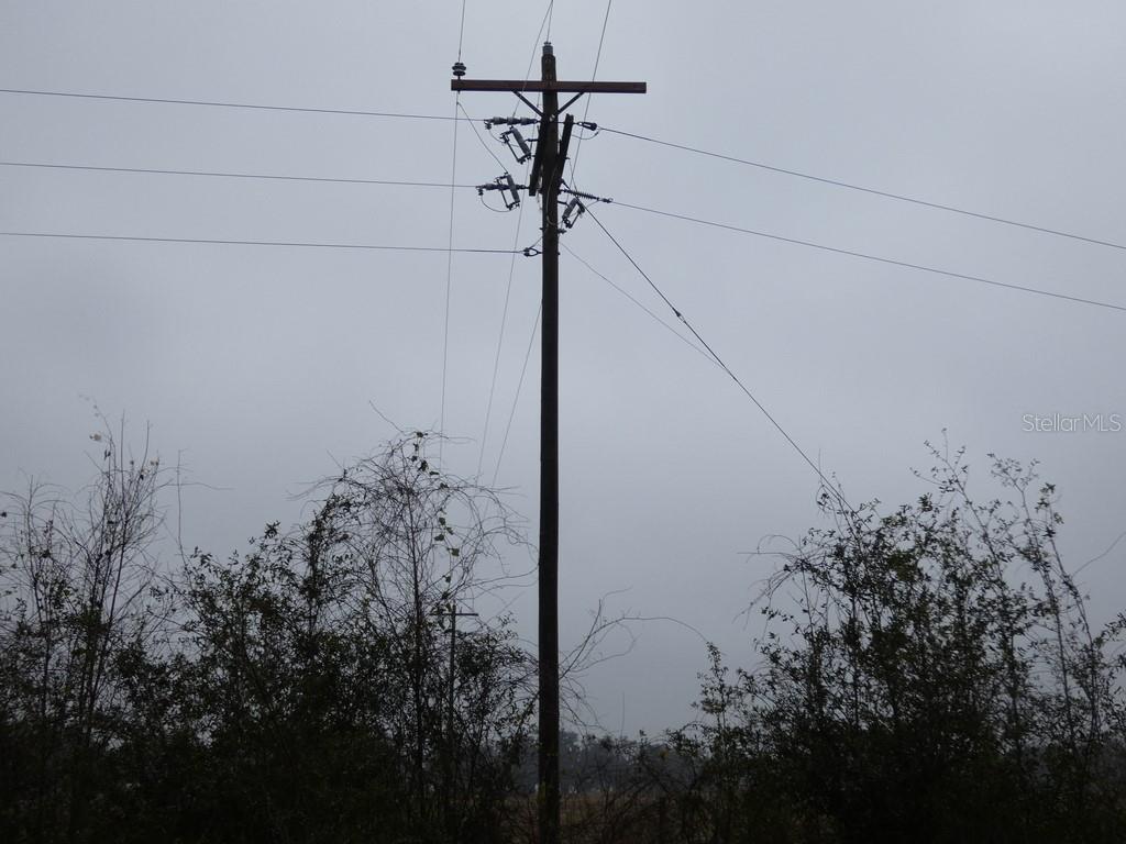 16213 CLARENCE LEE RD, GROVELAND, FL, 34736