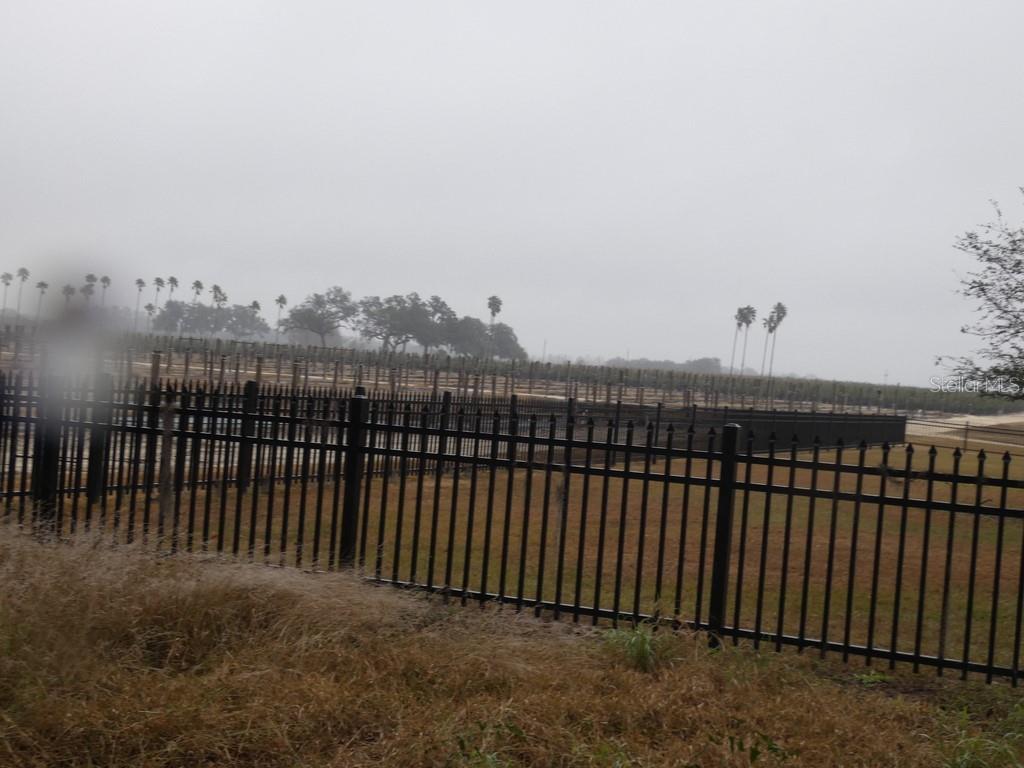 16213 CLARENCE LEE RD, GROVELAND, FL, 34736