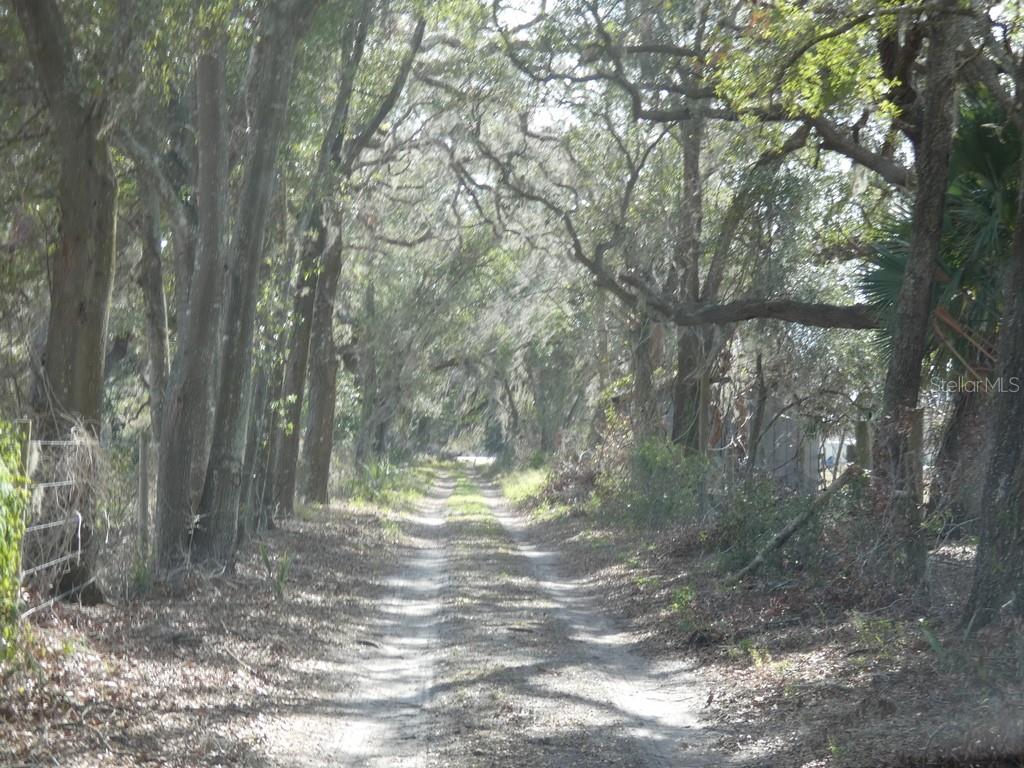 16213 CLARENCE LEE RD, GROVELAND, FL, 34736