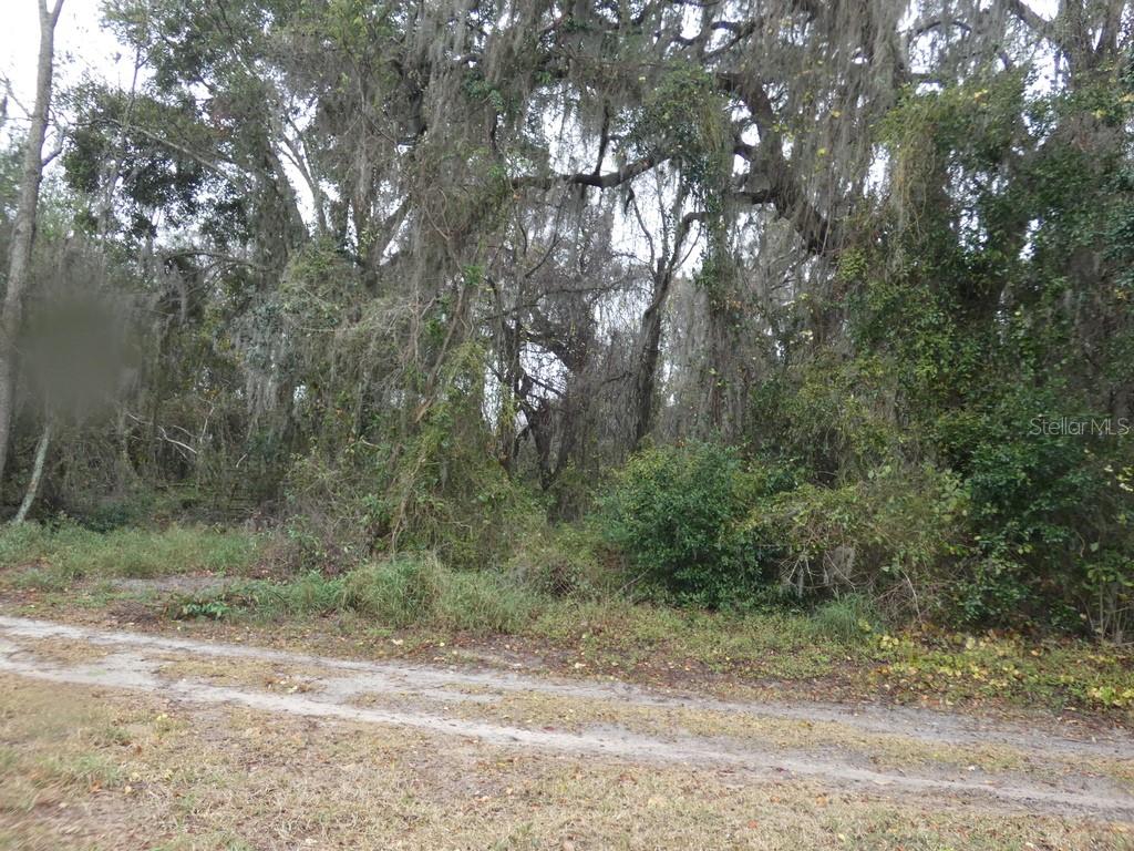 16213 CLARENCE LEE RD, GROVELAND, FL, 34736