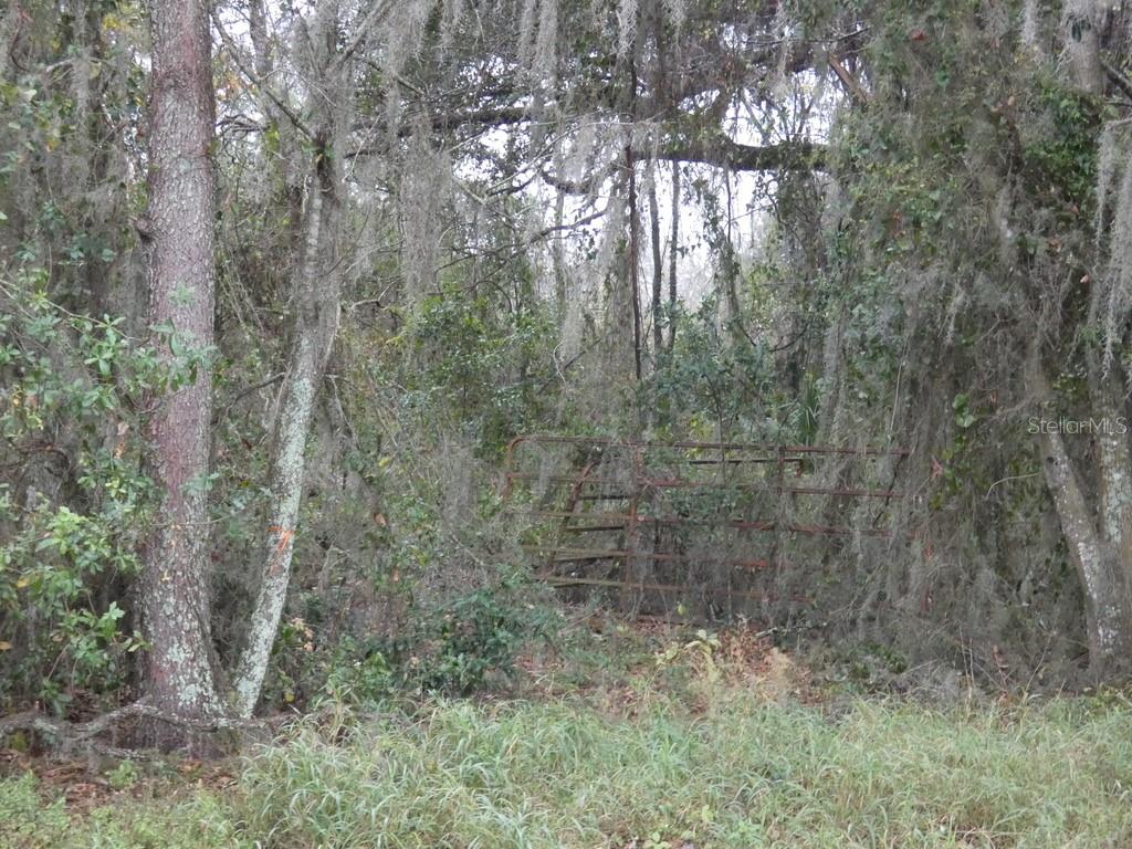 16213 CLARENCE LEE RD, GROVELAND, FL, 34736