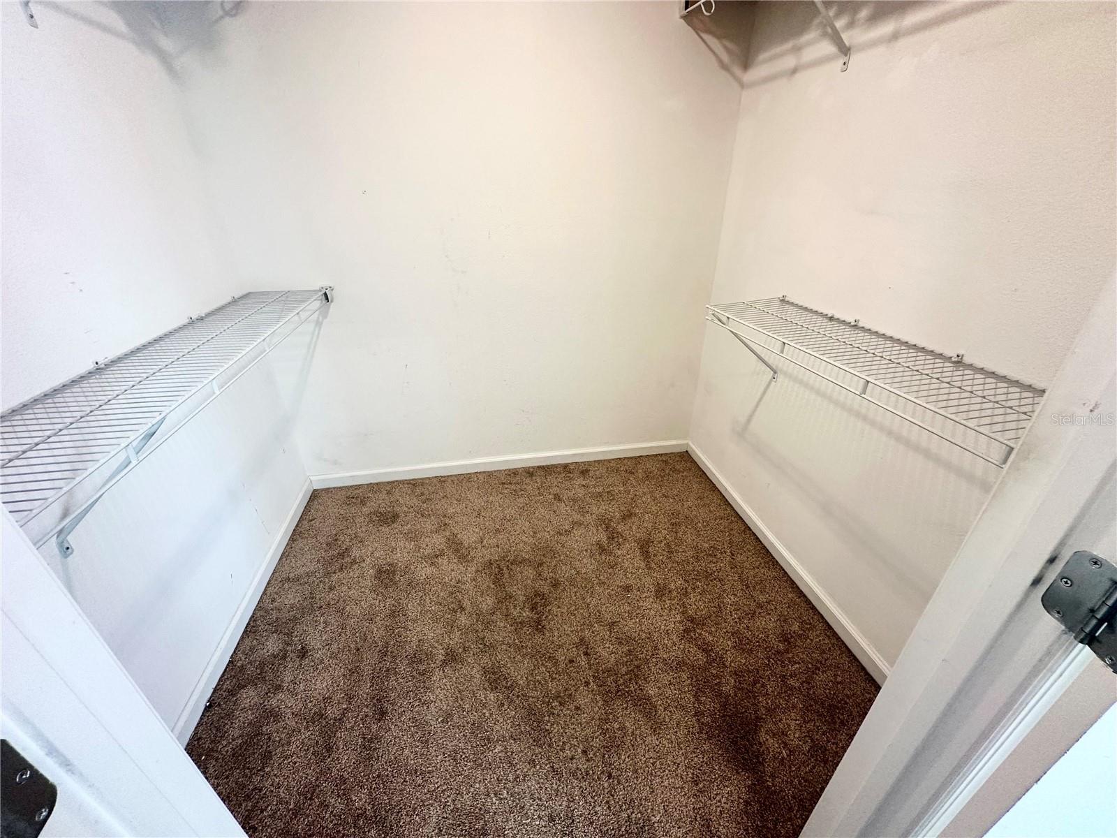 2294 ALOE ALY, APOPKA, FL, 32703