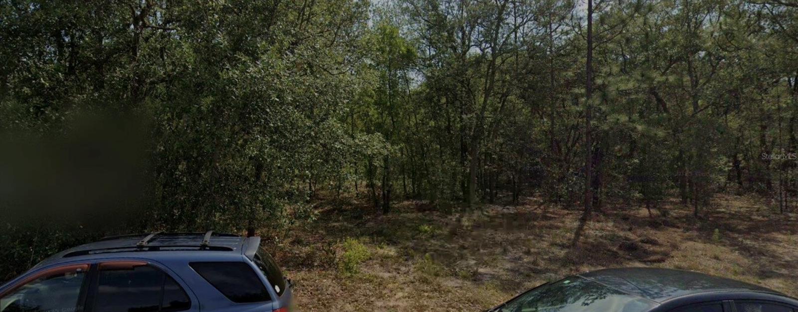 8593 N MULLER WAY, CITRUS SPRINGS, FL, 34434