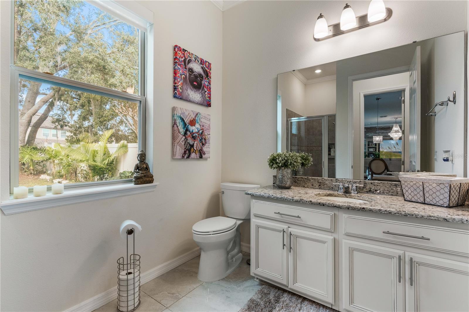 16669 VARONE COVE CT, WINTER GARDEN, FL, 34787