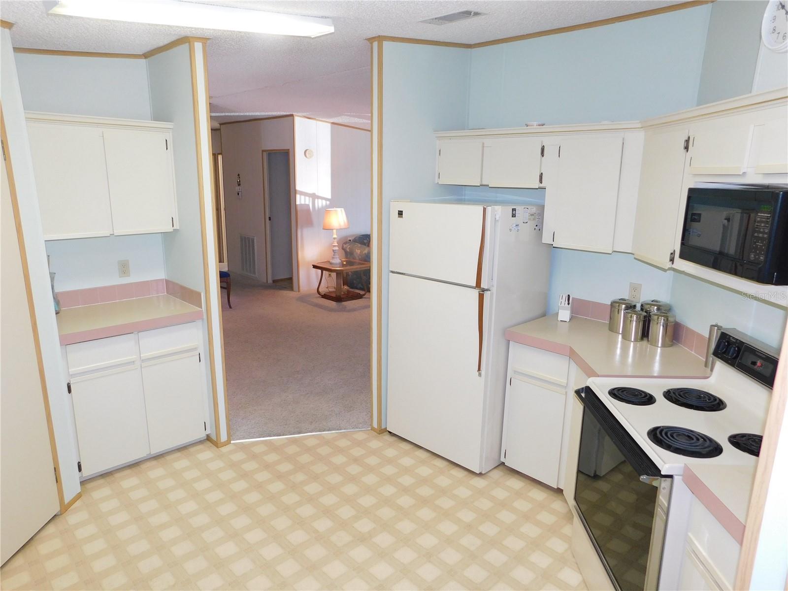 36819 KIOWA AVE, ZEPHYRHILLS, FL, 33542
