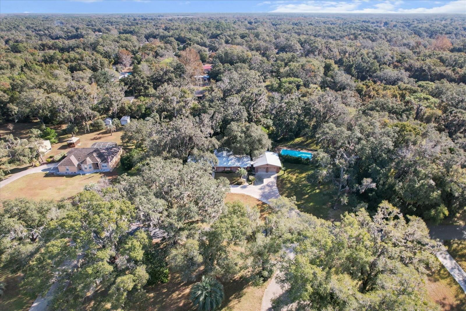 9181 S MOUNTAIN LAKE AVE, FLORAL CITY, FL, 34436