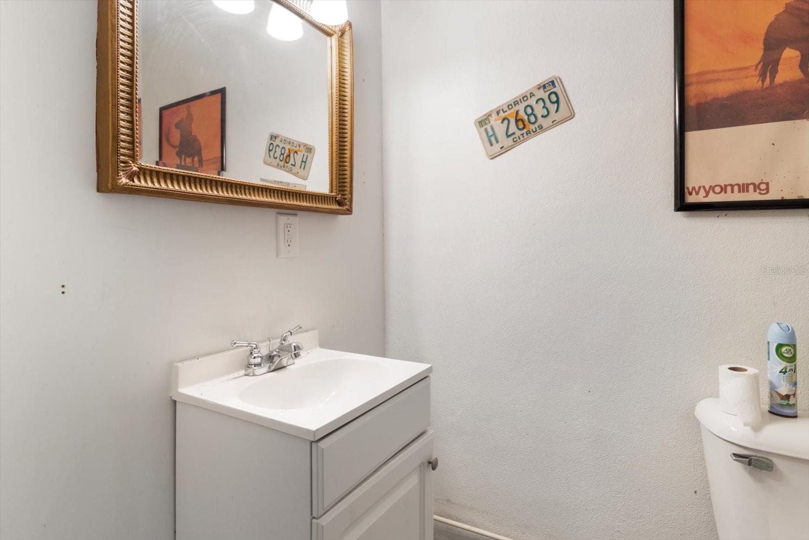 9181 S MOUNTAIN LAKE AVE, FLORAL CITY, FL, 34436