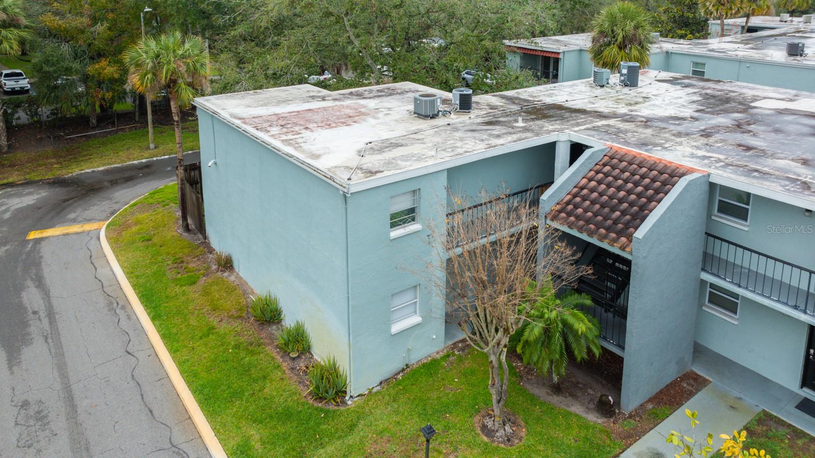 14417 AMERICANA CIR #105, TAMPA, FL, 33613