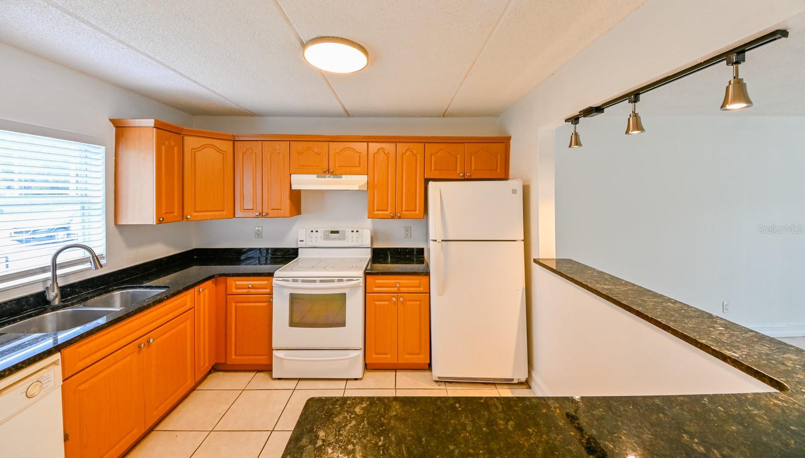 14417 AMERICANA CIR #105, TAMPA, FL, 33613