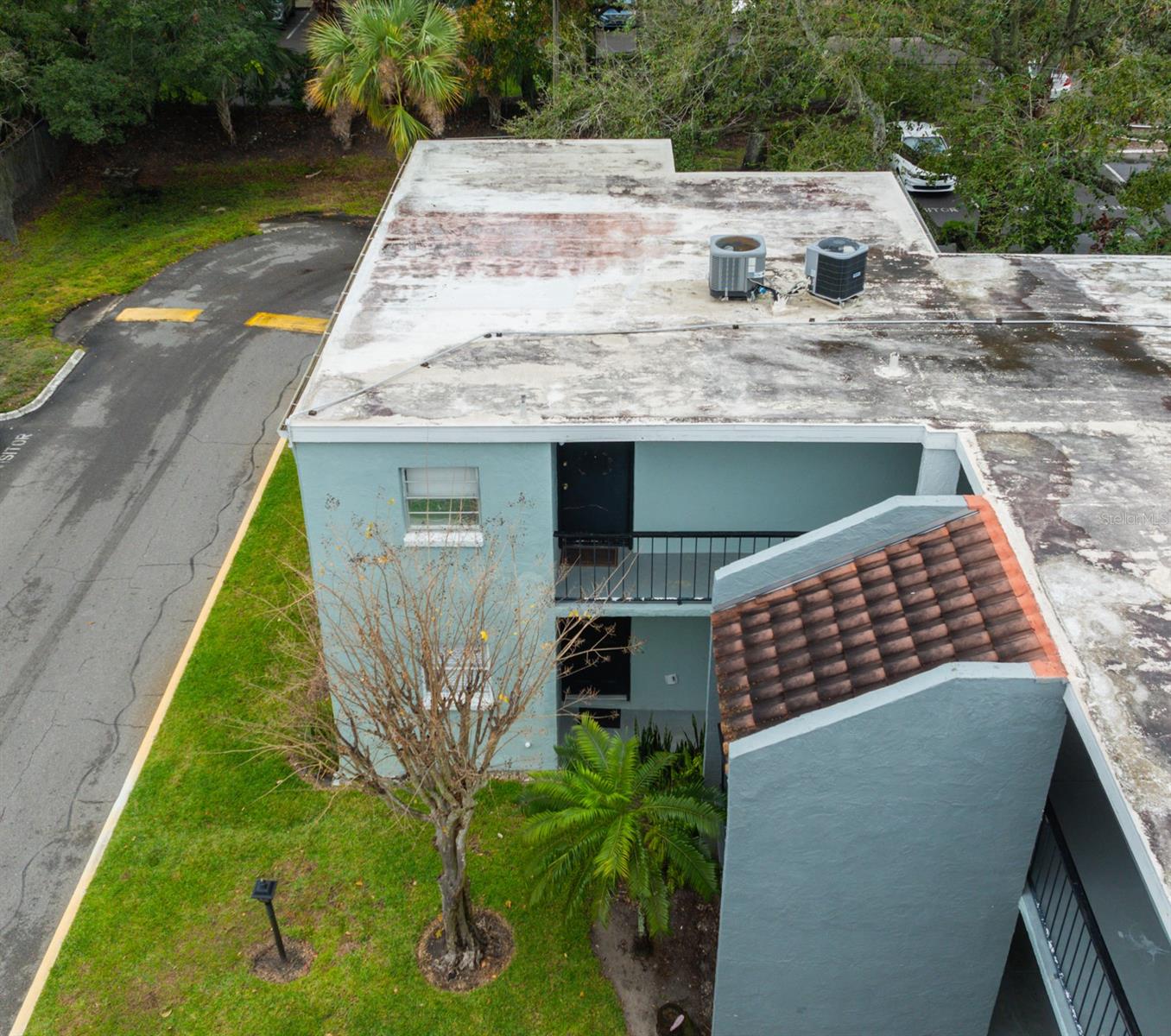 14417 AMERICANA CIR #105, TAMPA, FL, 33613