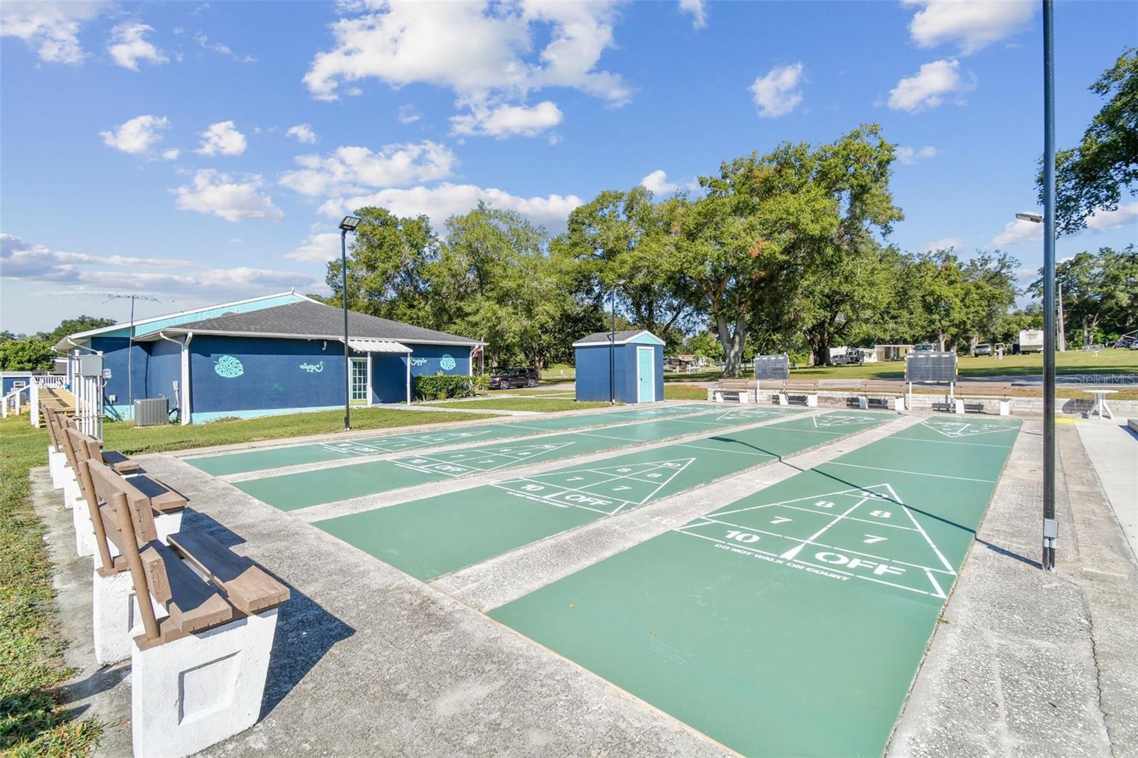 10043 COLLINGWOOD AVE, DADE CITY, FL, 33525