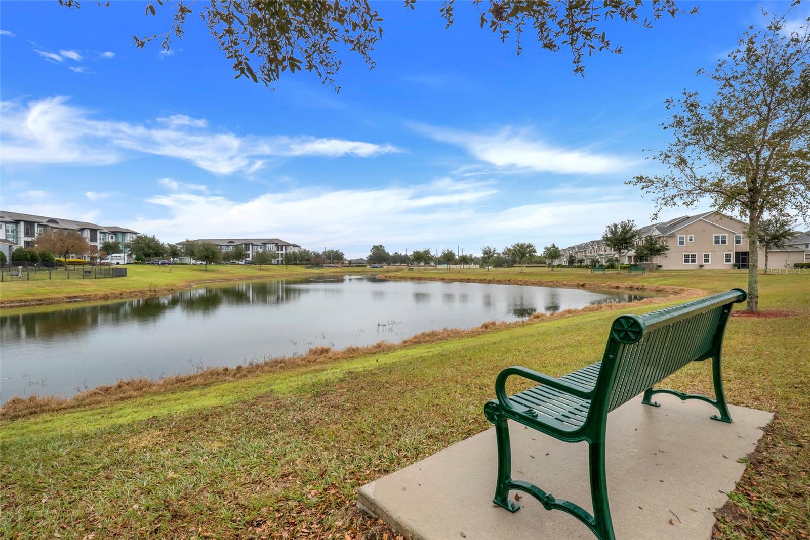 13805 BRESSLER ALY, WINDERMERE, FL, 34786