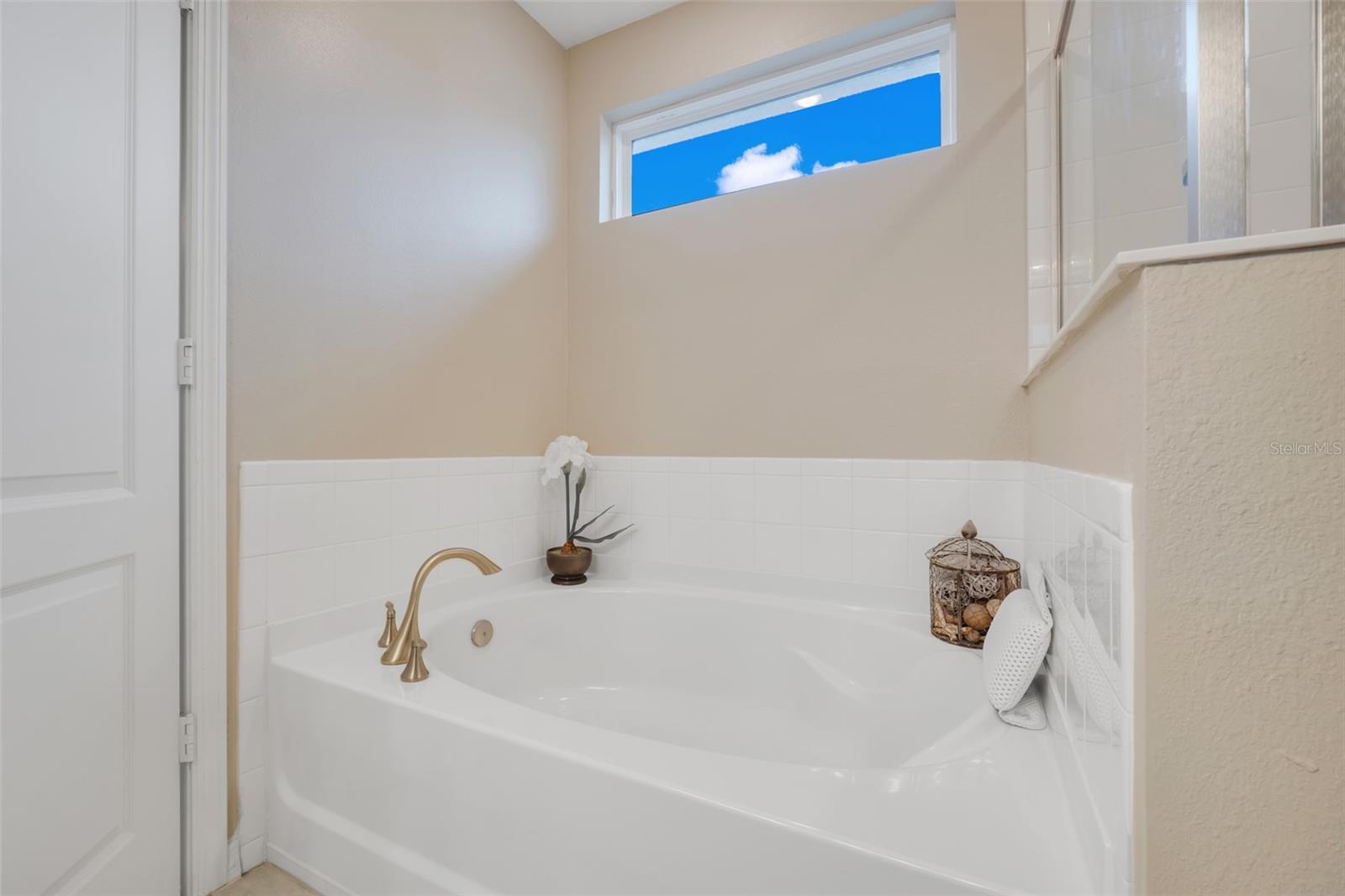 13805 BRESSLER ALY, WINDERMERE, FL, 34786