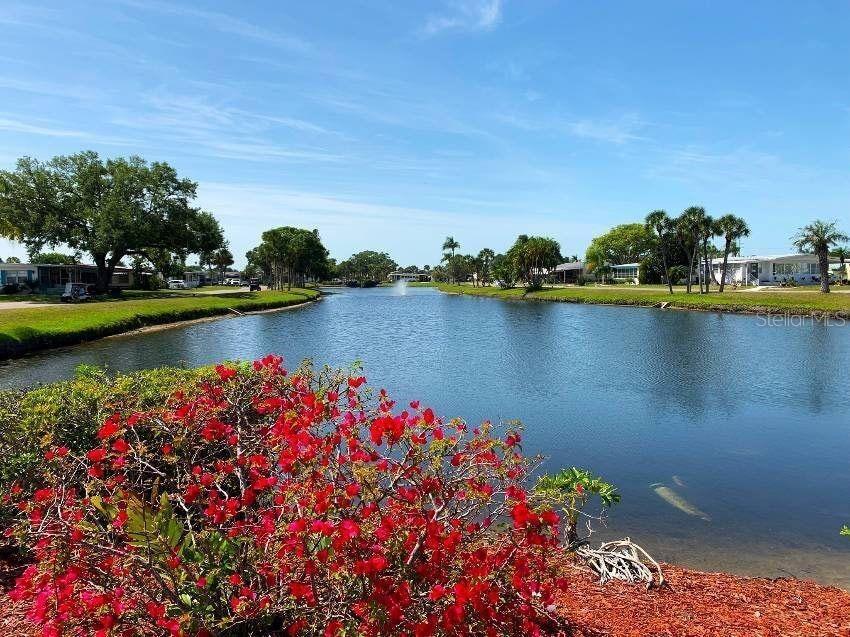 426 COBIA, VENICE, FL, 34285