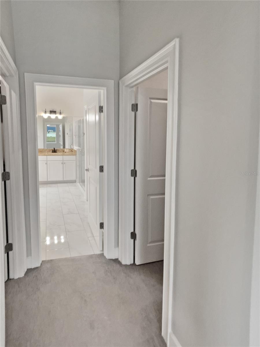 4739 BUTLER NATIONAL DR, WESLEY CHAPEL, FL, 33543