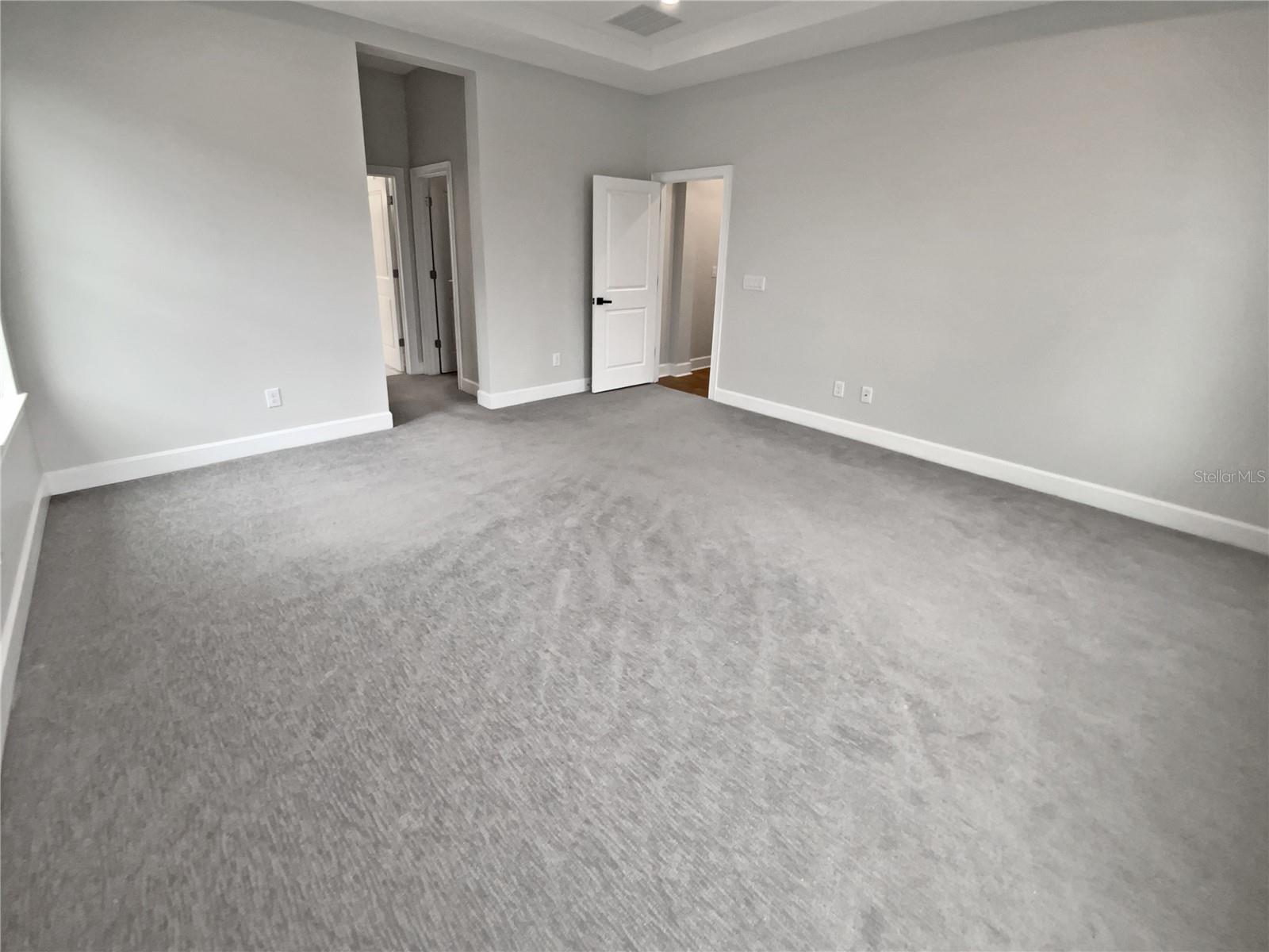4739 BUTLER NATIONAL DR, WESLEY CHAPEL, FL, 33543