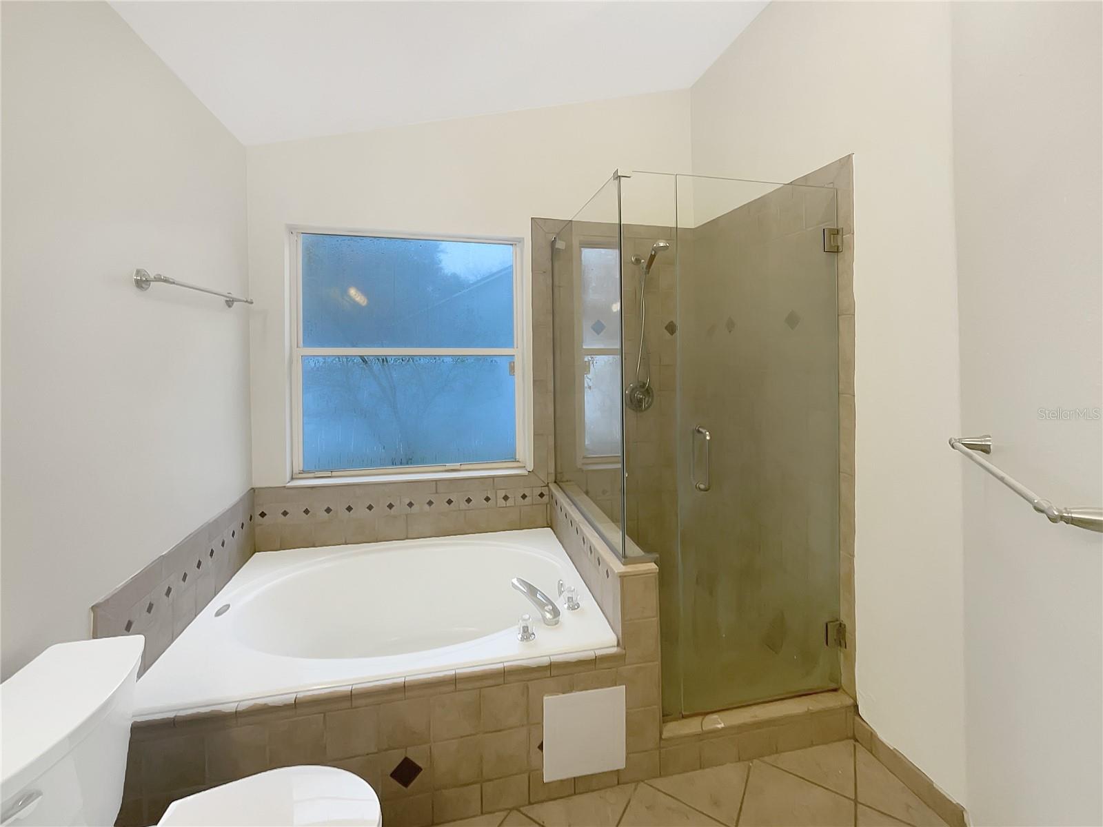 311 SILVER PINE DR, LAKE MARY, FL, 32746